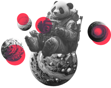 panda-photographie-service